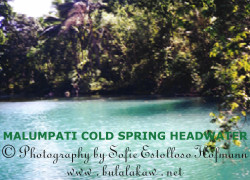 Malumpati Cold Spring Headwater