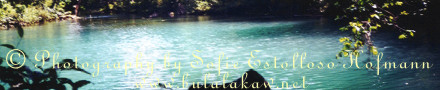 Malumpati Cold Spring Headwater